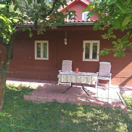 Rustic Country House In Snagov Appartement Buitenkant foto