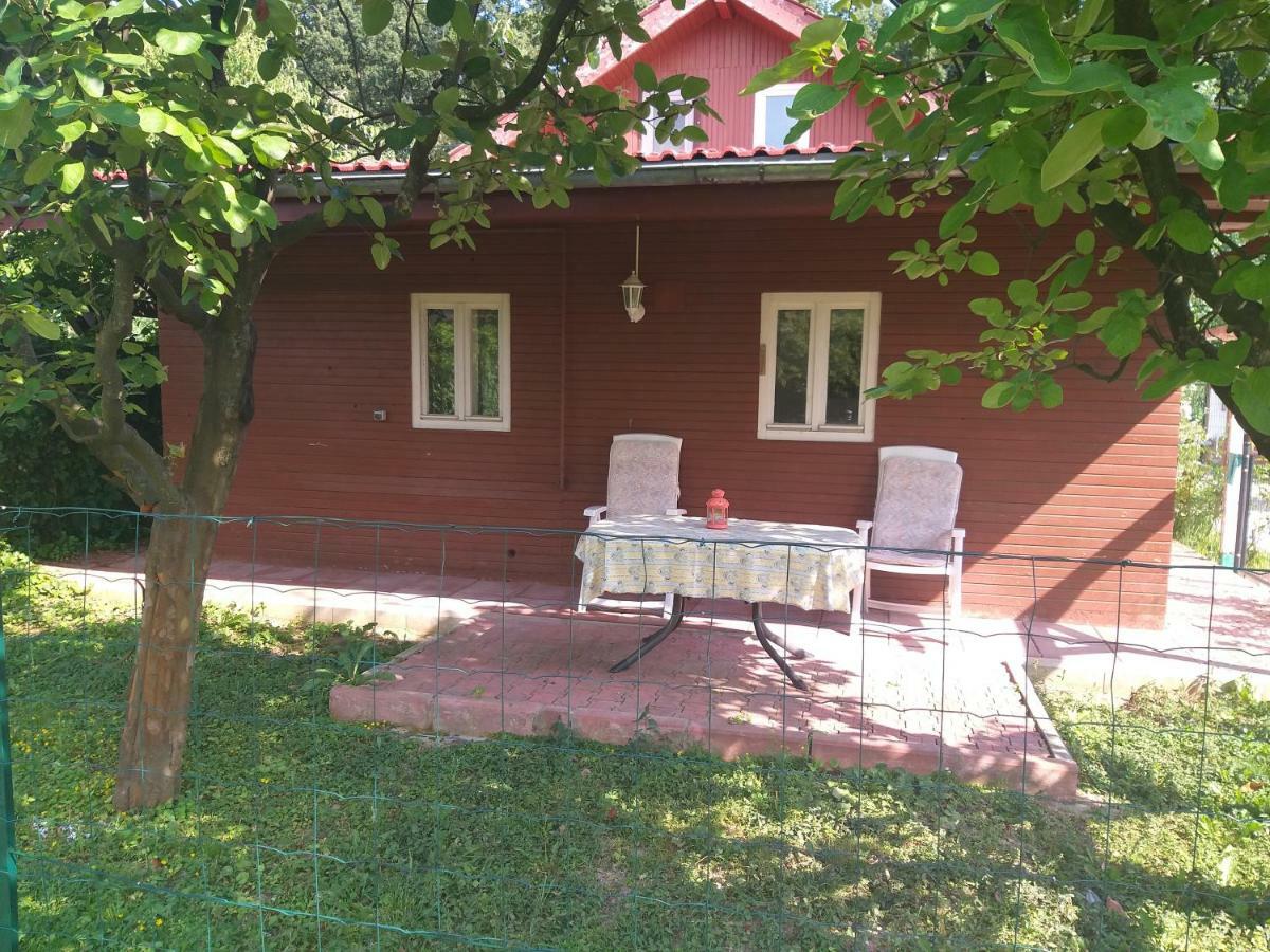 Rustic Country House In Snagov Appartement Buitenkant foto